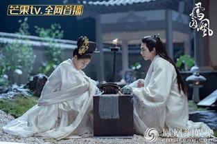 凤囚凰的电视背景,宫廷权谋与爱恨纠葛的华丽演绎